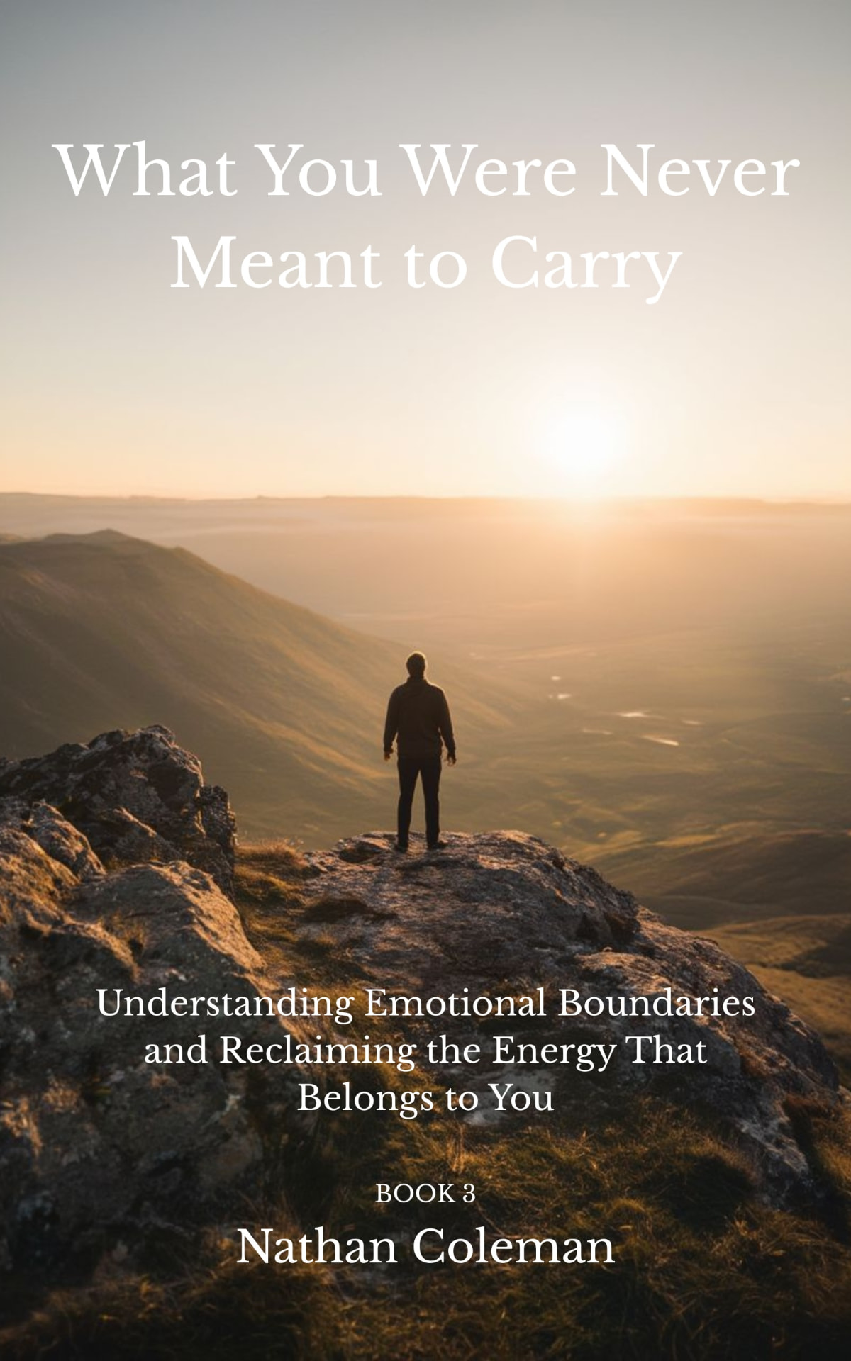 Cover of What You Were Never Meant to Carry
